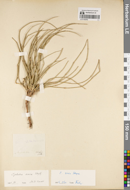 LE 01192762