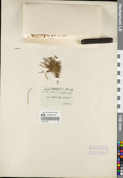 LE 01192903