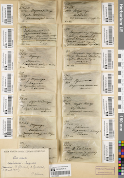 LE 01192603