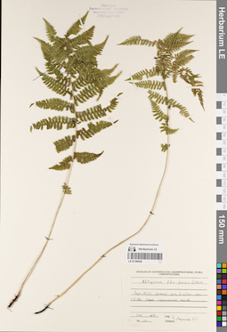 LE 01189428
