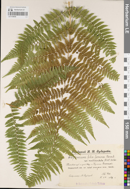 LE 01189438
