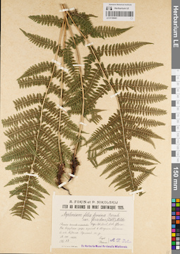 LE 01189461