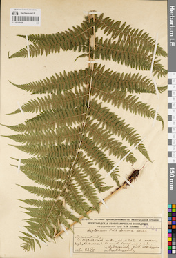 LE 01189158