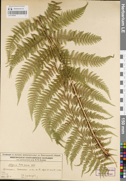 LE 01189160