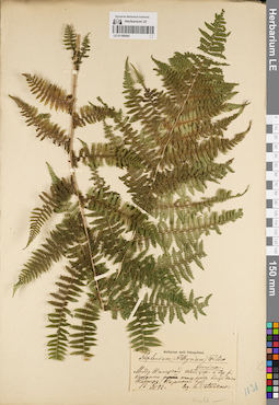 LE 01189404