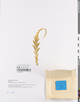 LE 01169275