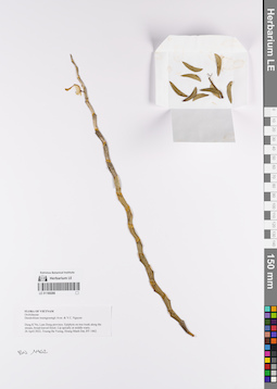 LE 01169288