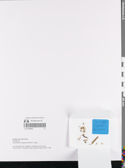LE 01169302