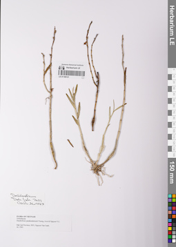 LE 01169121