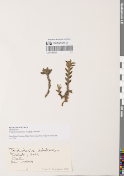 LE 01169131