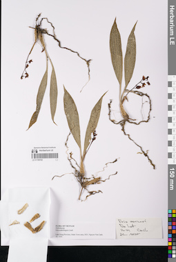 LE 01169162