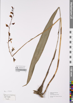 LE 01169180