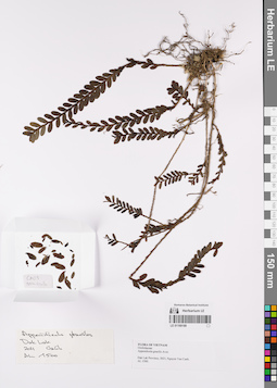 LE 01169189