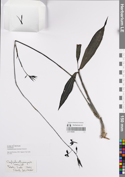 LE 01169256