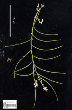 LE 01123491