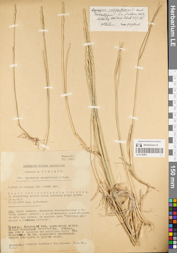 LE 01182801