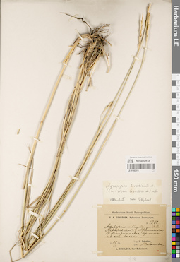 LE 01182813