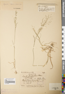 LE 01182829