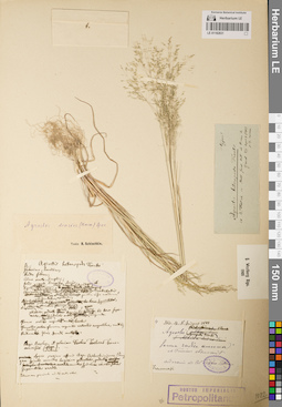LE 01182831