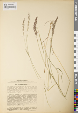 LE 01182832