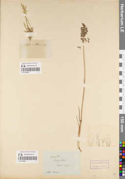 LE 01182850