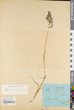 LE 01182852