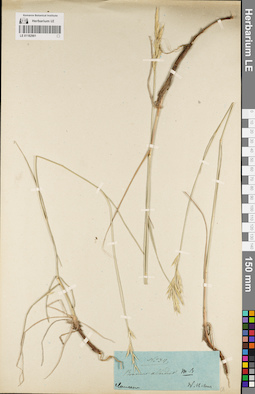 LE 01182901