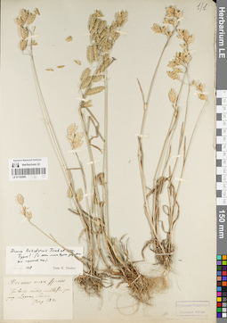 LE 01182906