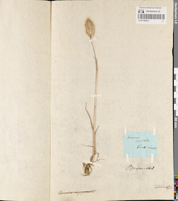 LE 01182914