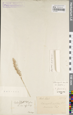 LE 01182931