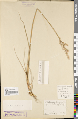 LE 01182933