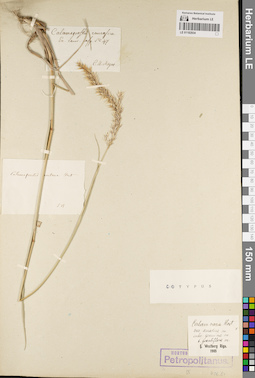 LE 01182934