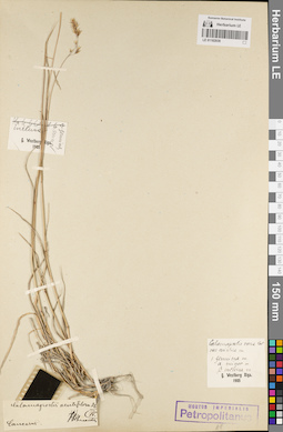 LE 01182939