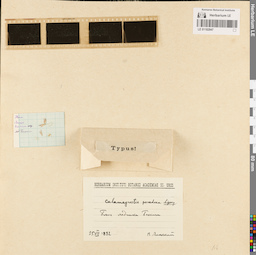 LE 01182947