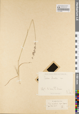 LE 01182958