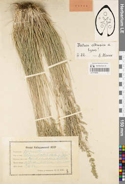 LE 01189509