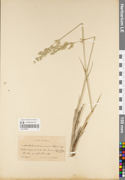 LE 01189540