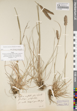 LE 01189569