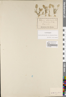LE 01189582