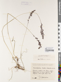 LE 01189615