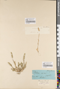 LE 01189618