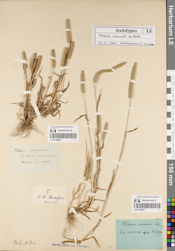 LE 01189620