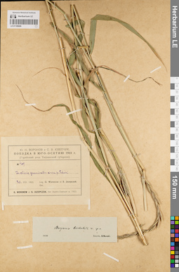 LE 01189686