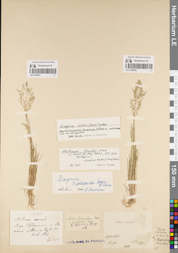LE 01189701