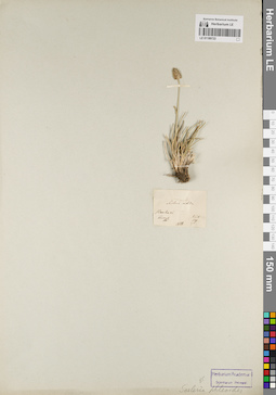 LE 01189722