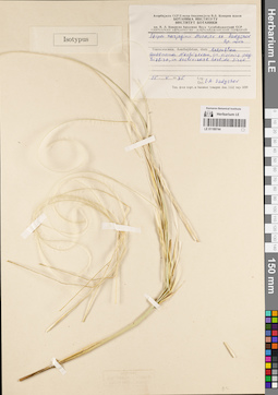 LE 01189744