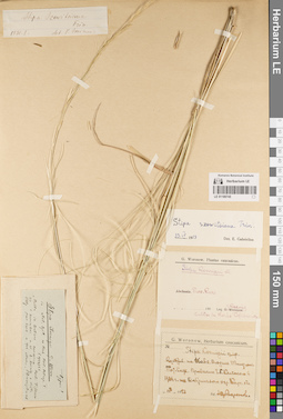 LE 01189745