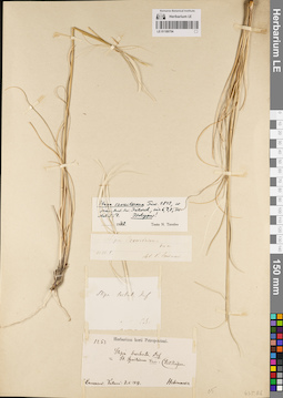 LE 01189754
