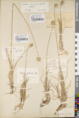 LE 01189780