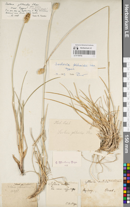 LE 01189782